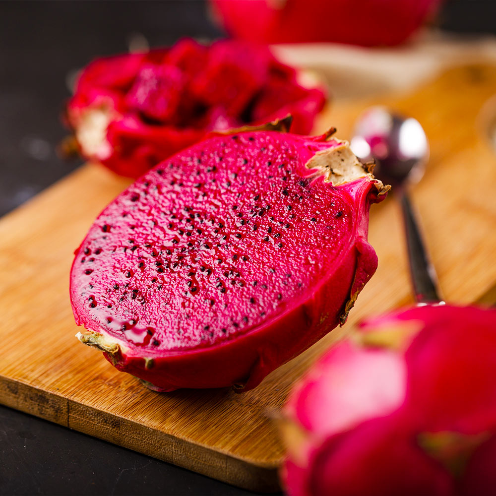 American Beauty Dragon Fruit Plant