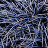 Black Mondo Grass