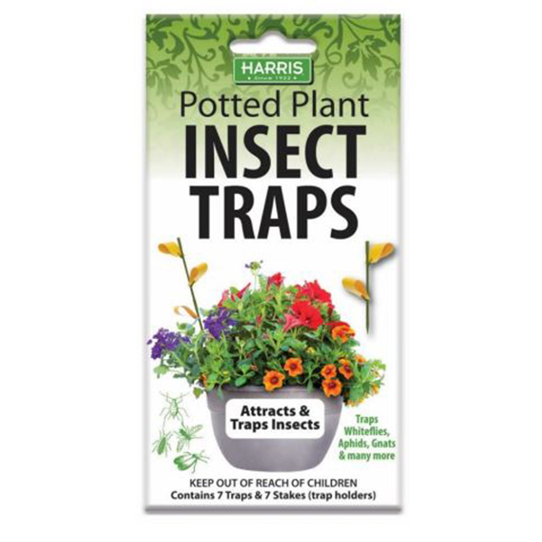 Harris Potted Plant Insect Traps