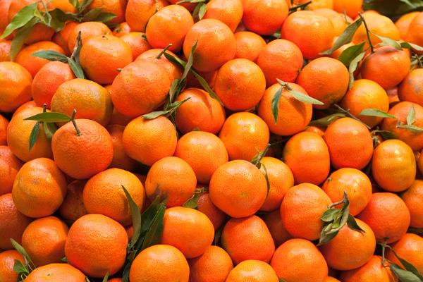 Mandarin Trees
