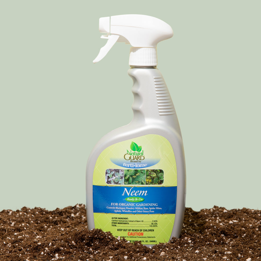Neem Oil