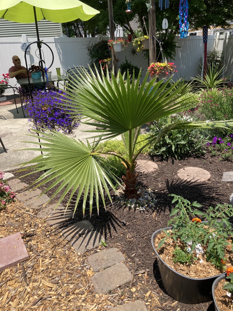 Perfect focal point!