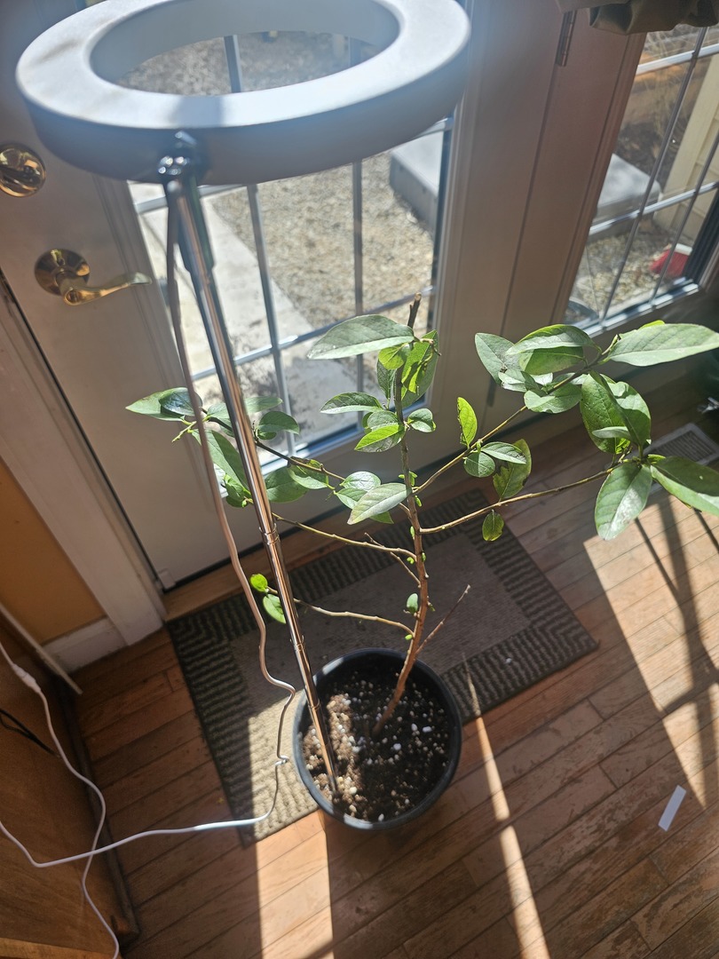 A gift to my wife . . .