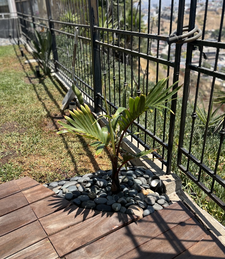 Awesome addition to the garden!