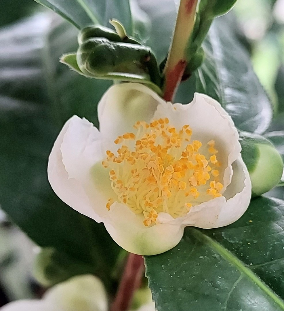These plants are living their best lives!