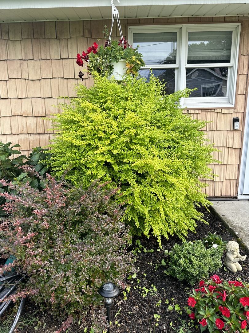 Incredibly Fast Growing