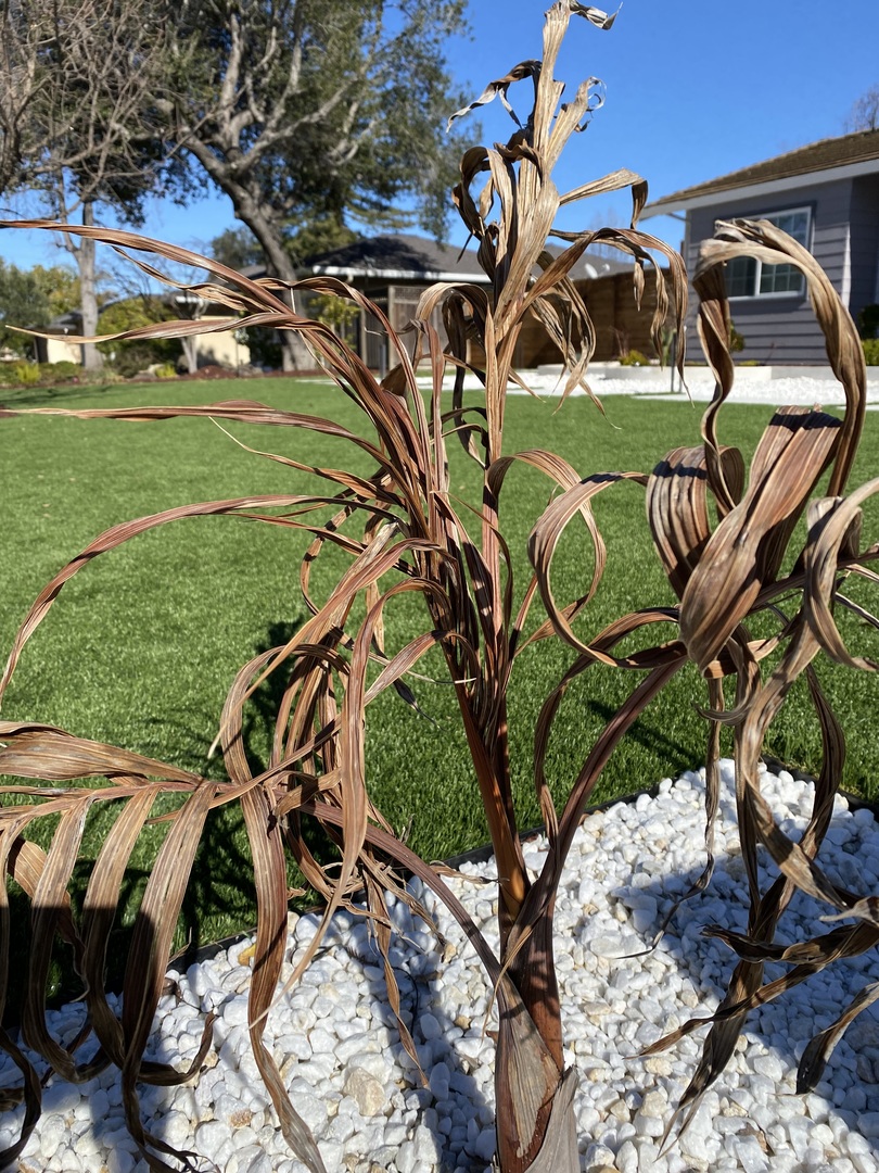 Fast Growing Trees Does Not Stand By Its Product