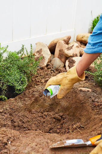 When applying fertilizer to new plants, mix your fertilizer into the planting hole