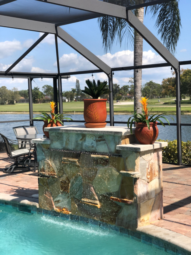 Great Sago Palm